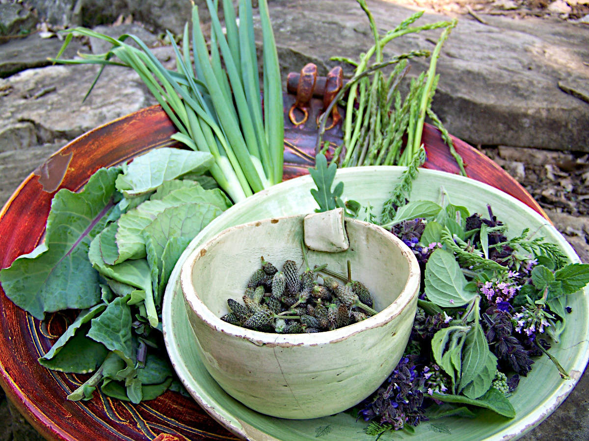 Divja kulinarika z Naro, 15., 21. in 25. marca 2026